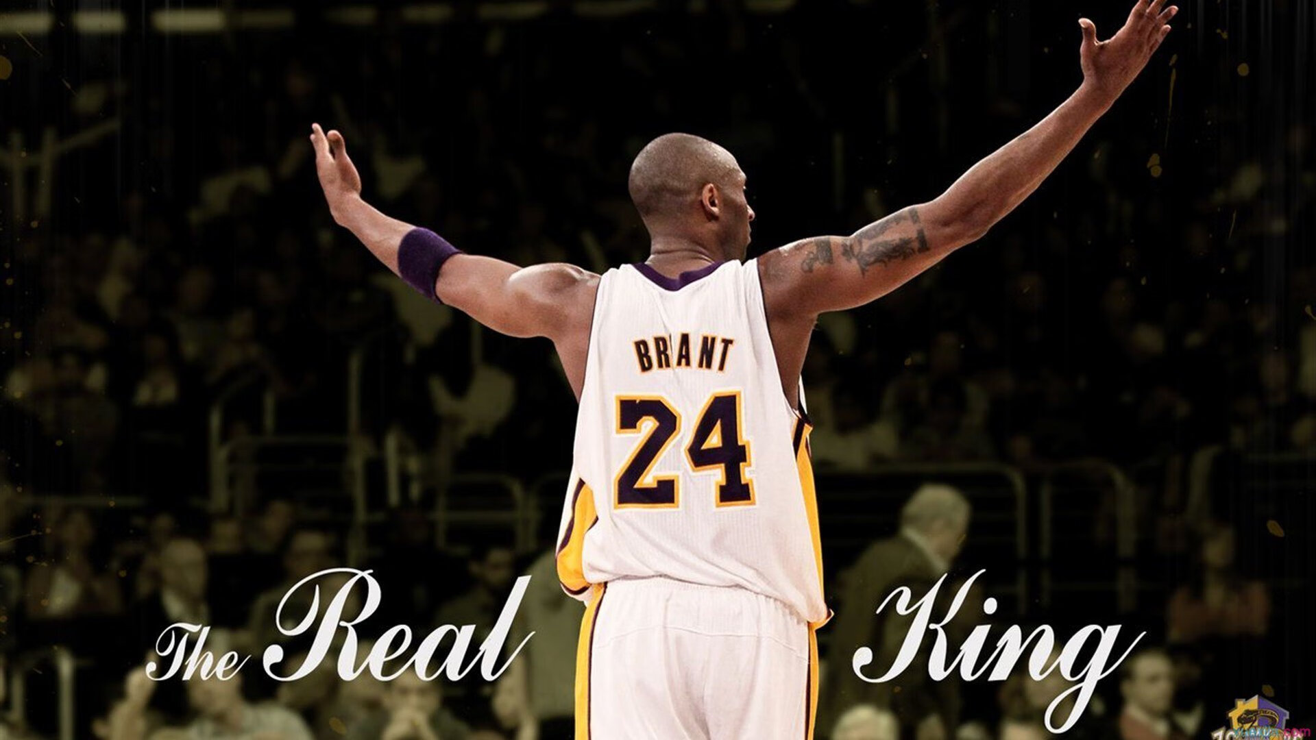 保罗,当大场面先生在东北虎啸中淬火重生